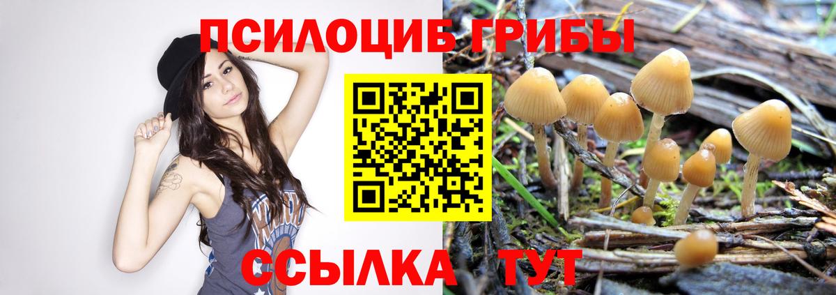 Галлюциногенные грибы мухоморы Усть-Илимск