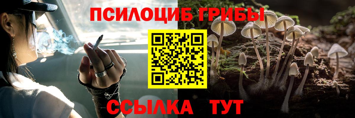 Галлюциногенные грибы MAGIC MUSHROOMS  Галлюциногенные грибы Magic Shrooms  Вход с VPN  Усть-Илимск 